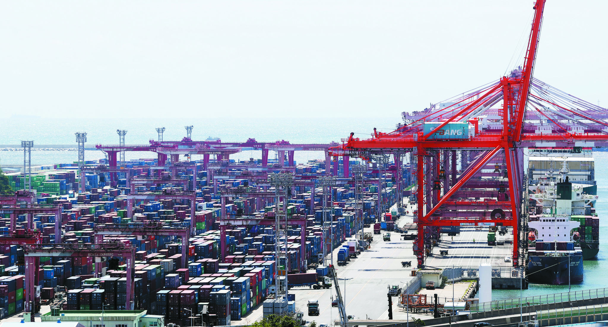 부산항터미널(감만, 신선대)